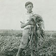 JBoy holding garlic plants